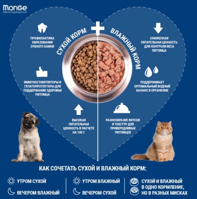 Влажное питание для кошек Monge Cat Grill (ягненок)