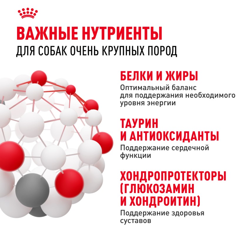 Сухой корм для собак Royal Canin Giant Adult