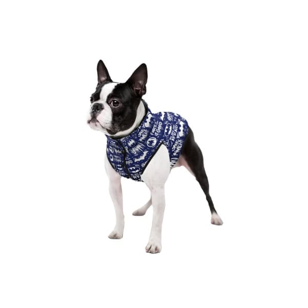 Курточка для собак WAUDOG Batman blue white