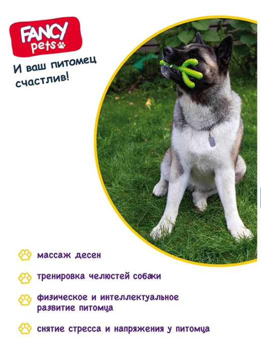 Игрушка для собак FANCY PETS Кактус