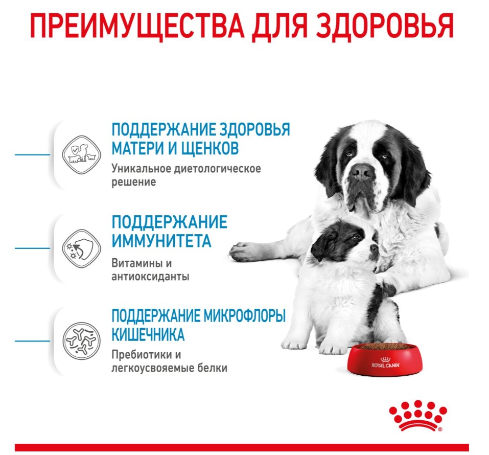 Еда для щенков Сухой корм для щенков Royal Canin Giant Starter