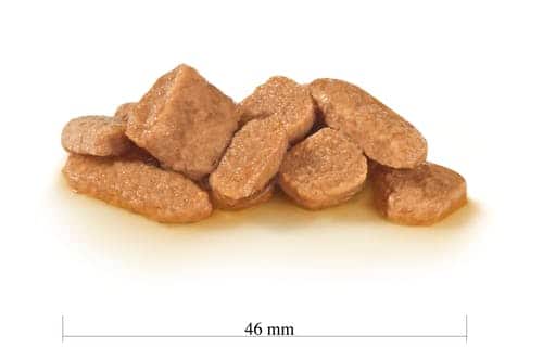 Влажный корм для кошек Royal Canin Pediatric Growth