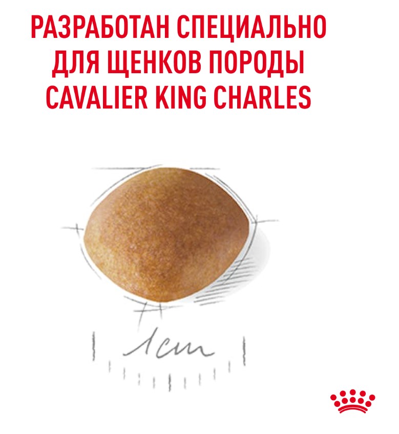 Каталог Сухой корм для щенков Royal Canin Cavalier King Charles Puppy для собак