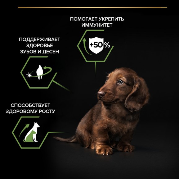 Каталог Сухой корм для щенков Pro Plan HEALTHY START Small & Mini Puppy (курица) для собак