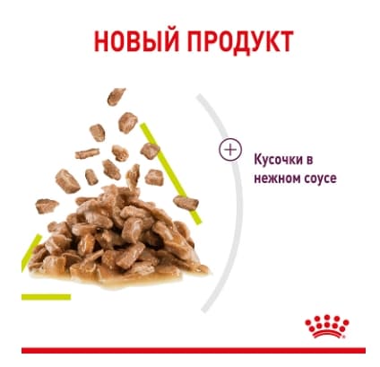 Влажное питание для кошек Royal Canin Sensory Smell (соус)