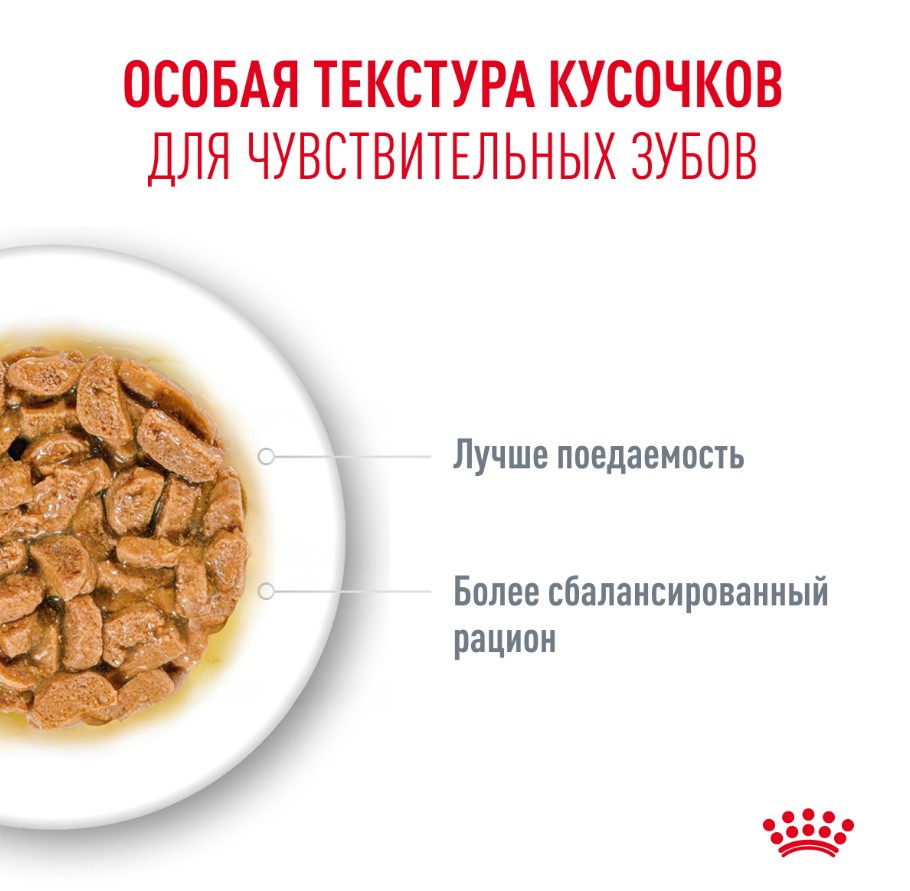 Влажный корм для пожилых кошек Royal Canin Ageing 11+ (кусочки в желе)