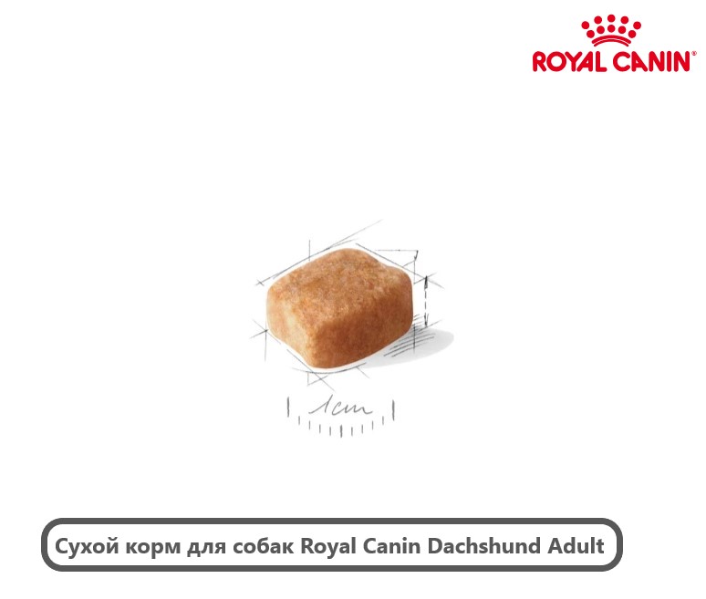 Каталог Сухой корм для собак Royal Canin Dachshund Adult для собак