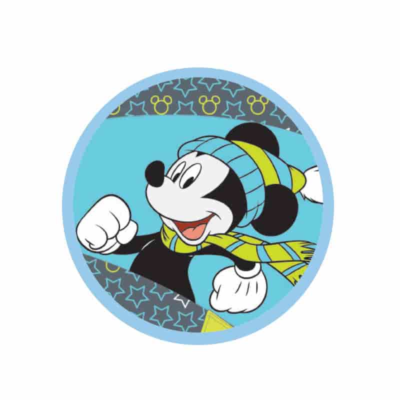 Комбинезон зимний Mickey-2 20 см (12211234)