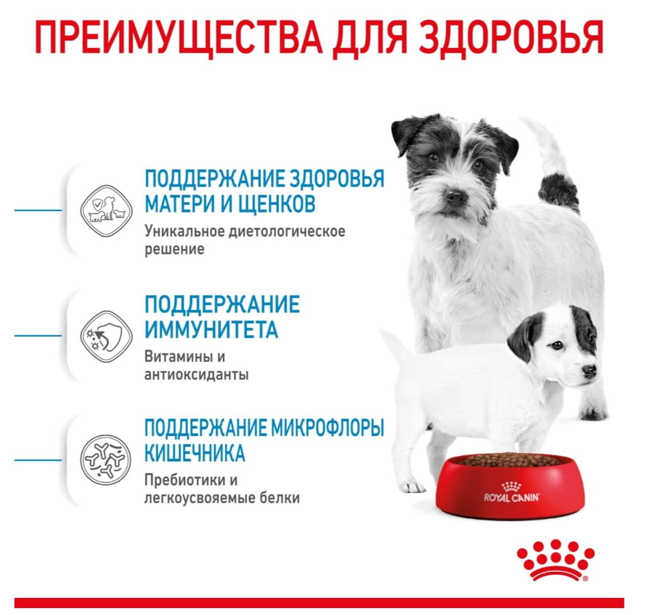 Каталог Сухой корм для щенков Royal Canin Mini Starter для собак