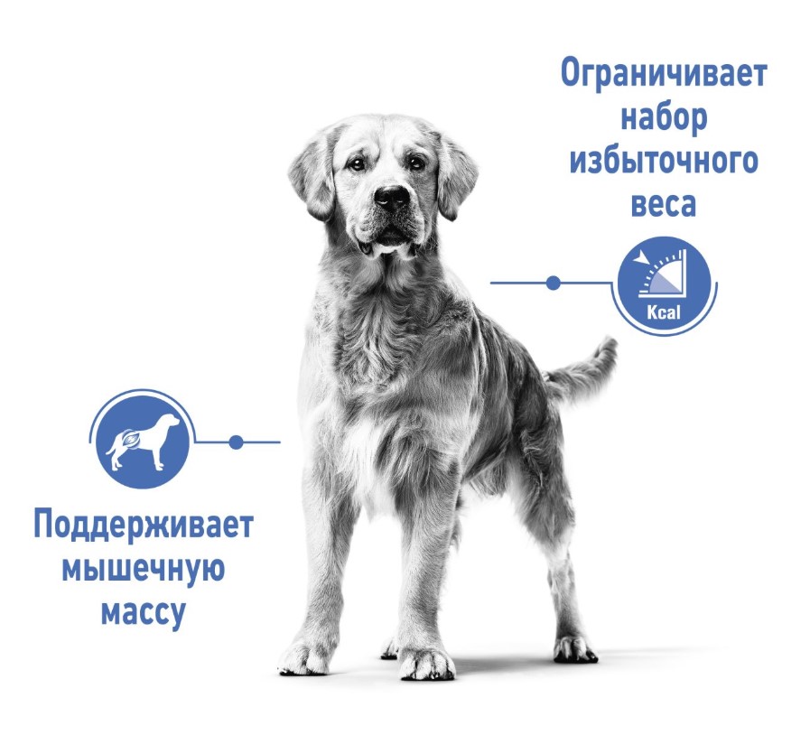 Каталог Сухой корм для собак Royal Canin Medium Light Weight Care для собак