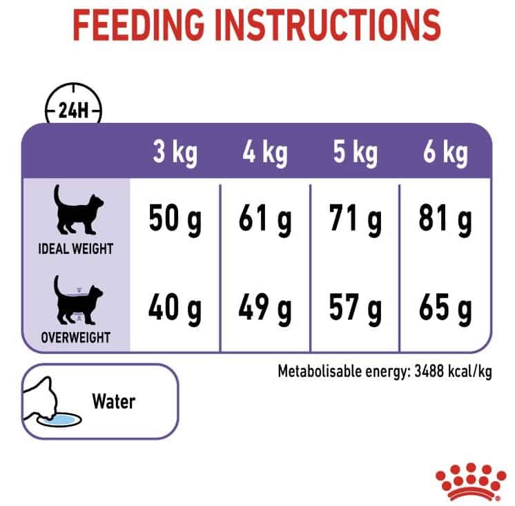 Сухой корм для кошек Royal Canin Appetite Control Care полнорационный корм для кошек выпрашивающих корм 