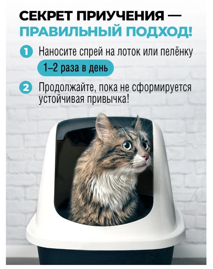Спрей Spets для приучения кошек к туалету