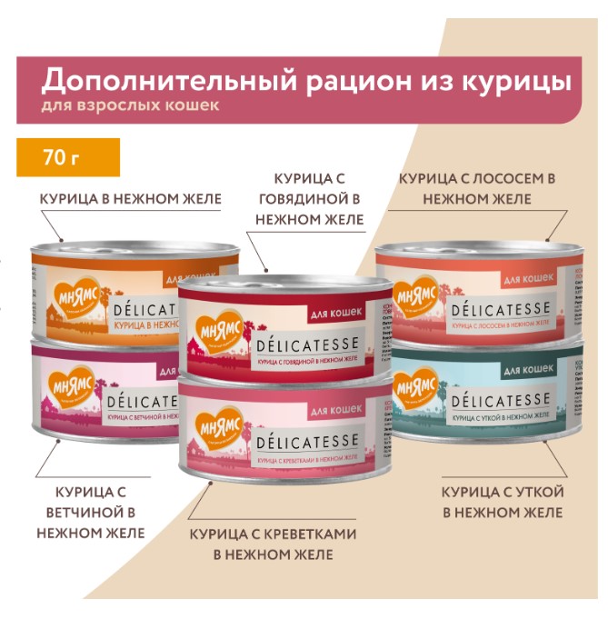 Влажный дополнительный корм Мнямс для кошек Курица с говядиной в нежном желе
