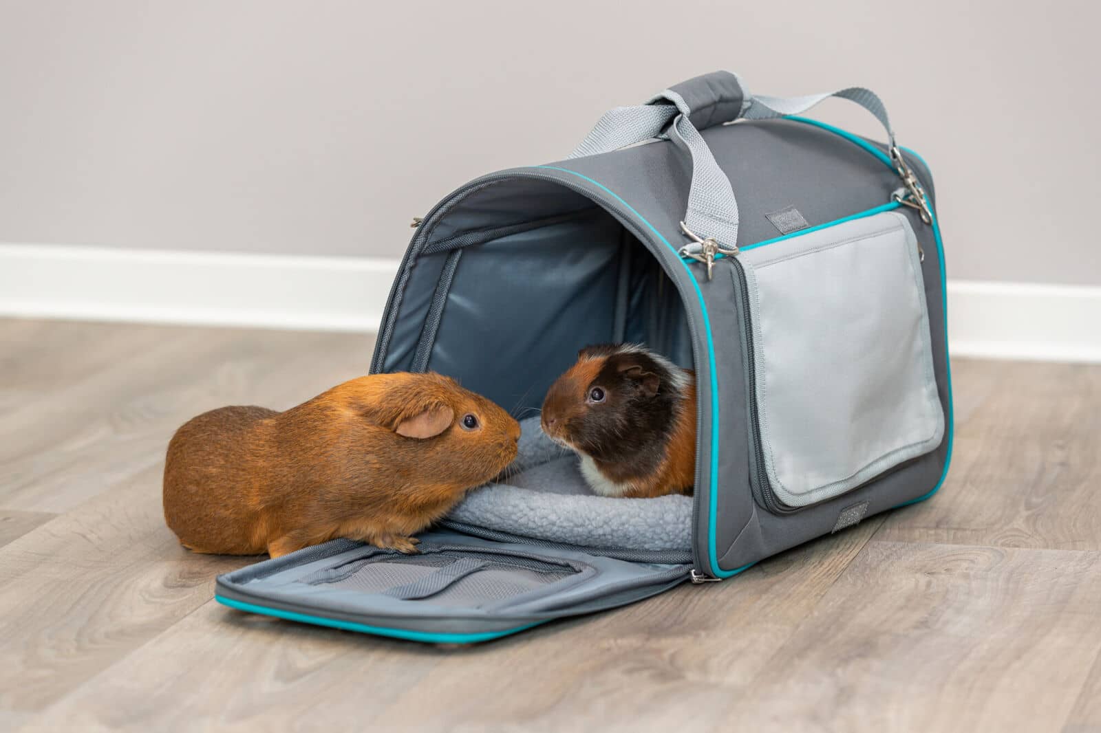 Сумка-переноска TRIXIE "Kennel & Carrier Vicky"