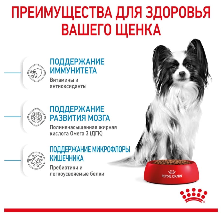 Каталог Сухой корм для щенков Royal Canin X-Small Puppy для собак