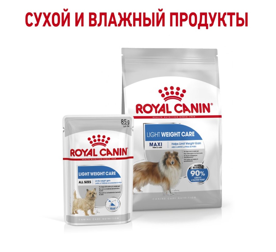 Каталог Сухой корм для собак Royal Canin Maxi Light Weight Care для собак