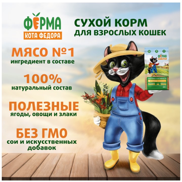 Сухой корм для взрослых кошек Ферма кота Федора с курицей