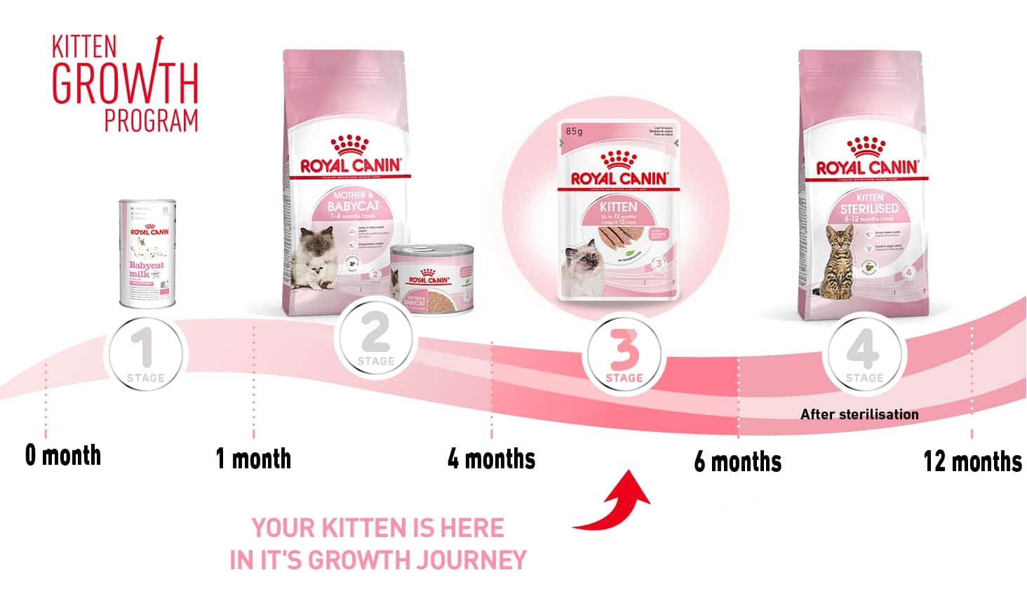Паштет для котят Royal Canin Kitten Loaf