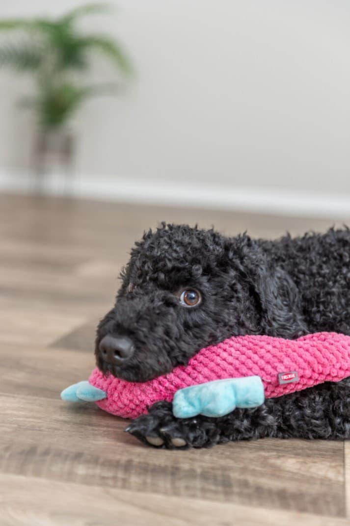Игрушка для собак Trixie Морской конёк (розовый)