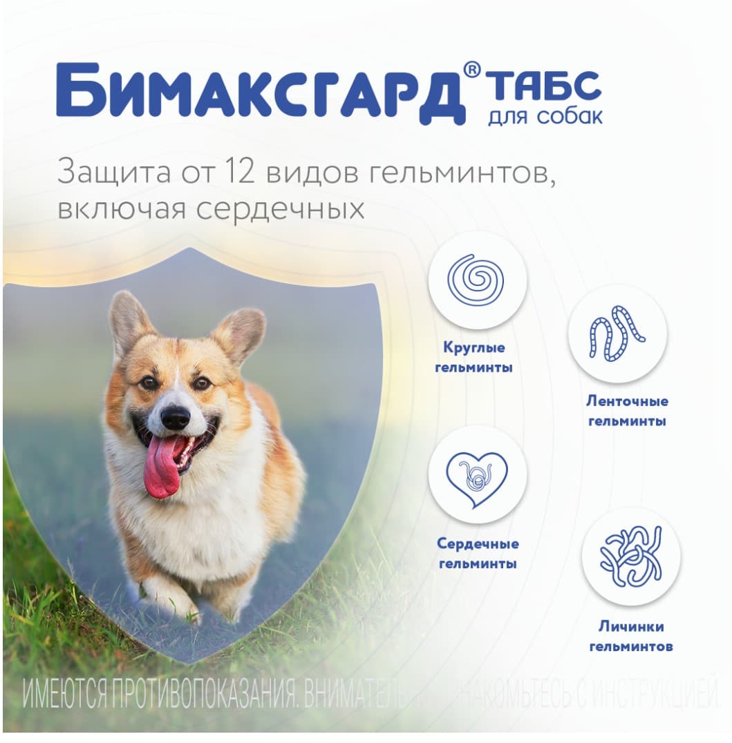 Антигельминтный препарат Бимаксгард ТАБС для собак крупных пород