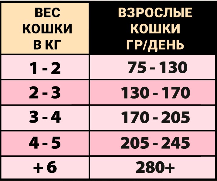 Консервы для кошек Natural Greatness Kitten & Adult (курица, яблоко, ананас, папайя)