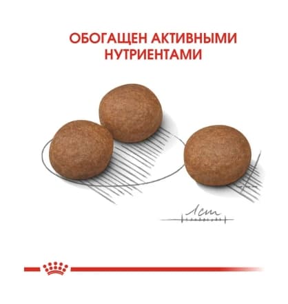 Каталог Сухой корм для собак Royal Canin Medium Digestive Care для собак