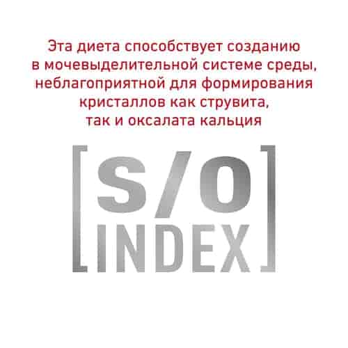 Еда для кота Влажный корм для кошек Royal Canin Skin & Coat Formula