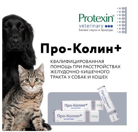 Кормовая добавка для кошек и собак Protexin Проколин