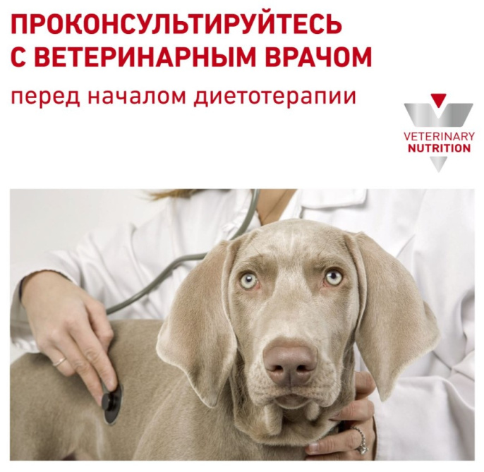 Ветеринарный корм для собак Сухой корм для собак Royal Canin Cardiac