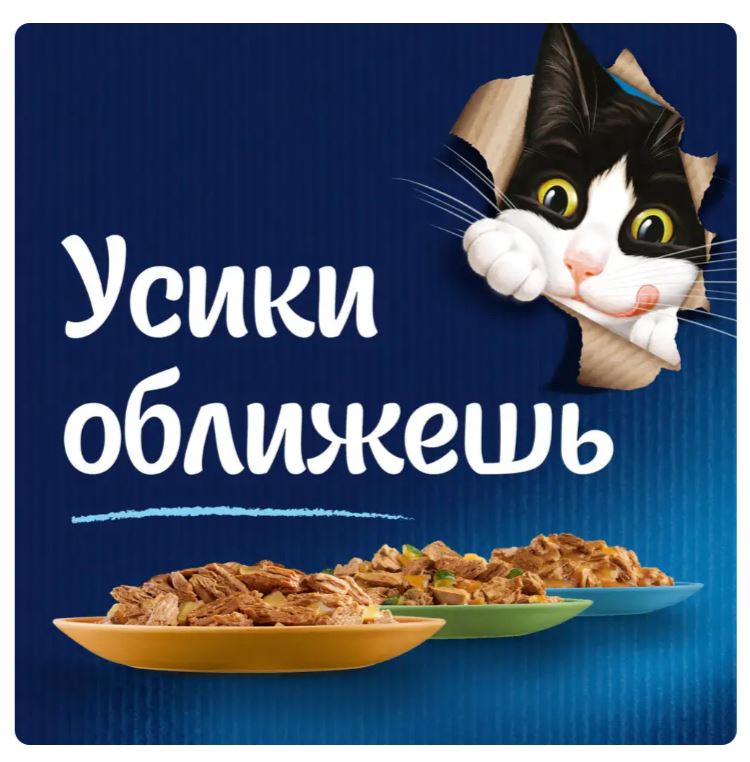 Влажный корм для кошек Felix Аппетитные кусочки (говядина в желе)