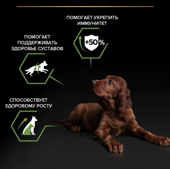 Каталог Сухой корм для щенков крупных пород Pro Plan HEALTHY START Large Athletic Puppy (курица) для собак
