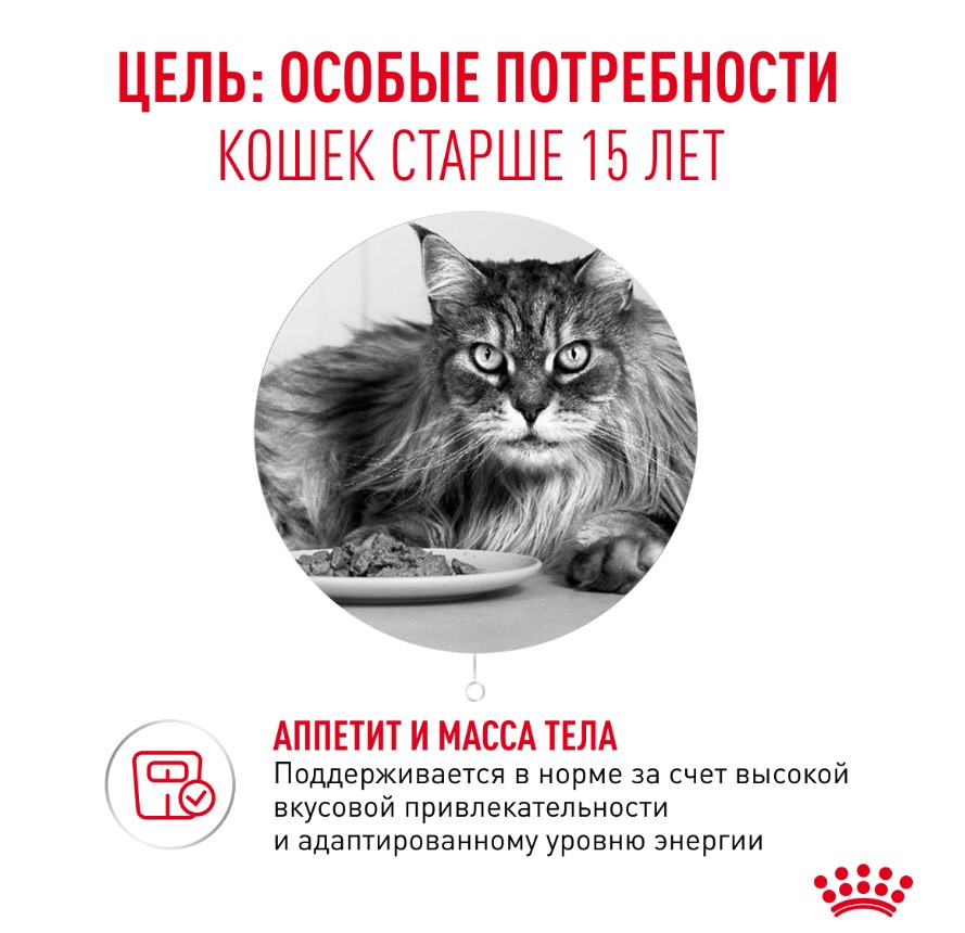 Влажный корм для очень пожилых кошек Royal Canin Ageing 15+