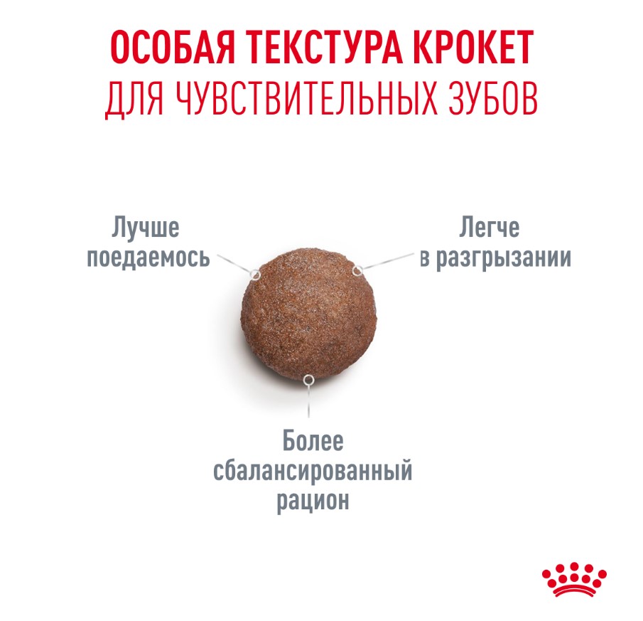 Сухой корм для очень пожилых кошек Royal Canin Ageing 15+