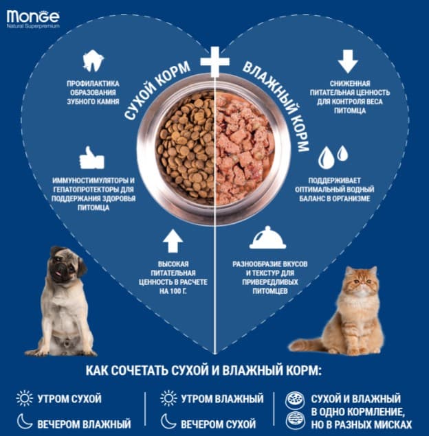 Влажное питание для кошек Monge Cat Grill (кролик)