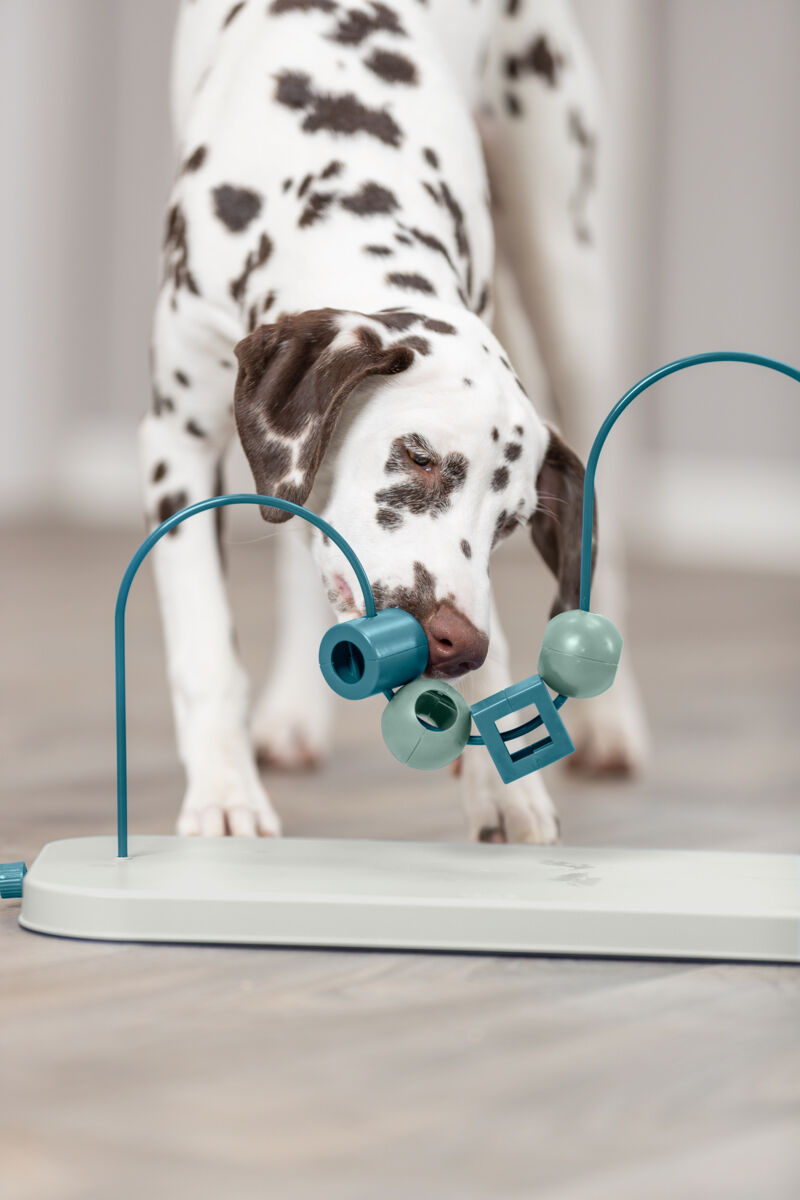 Игрушка для собак TRIXIE Dog Activity Skills Loop