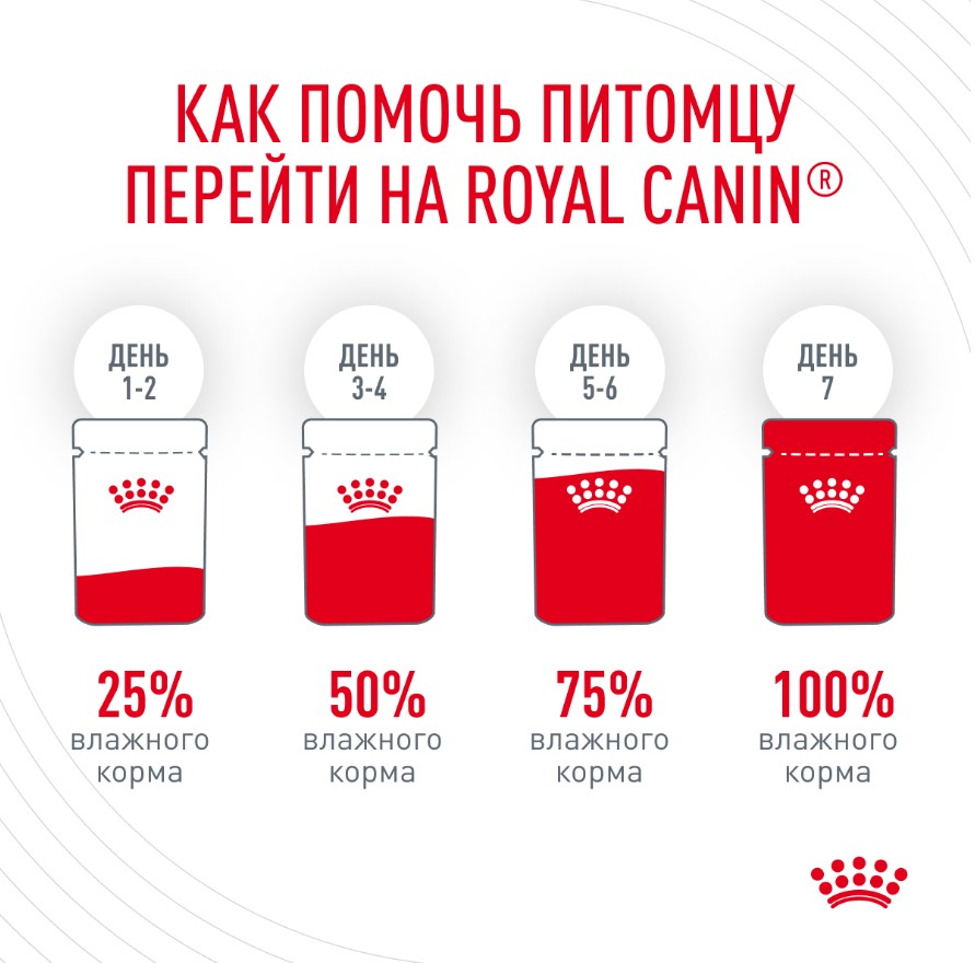 Влажный корм для кошек Royal Canin Hair & Skin Care (в желе)