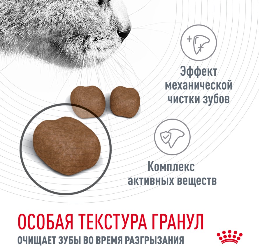 Сухой корм для кошек Royal Canin Dental Care Cat