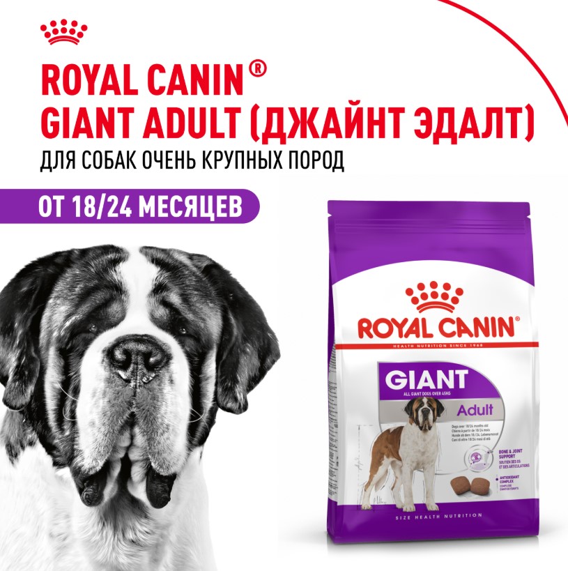 Сухой корм для собак Royal Canin Giant Adult