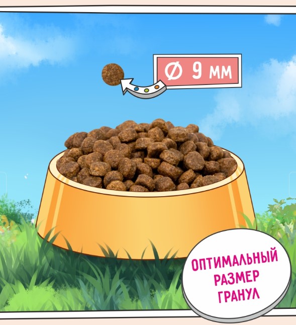 Сухой корм для щенков ZILLII Puppy (индейка, ягненок)