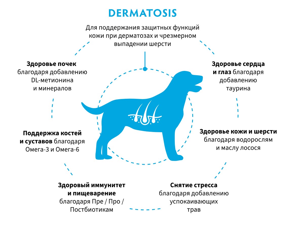 Сухой корм для собак Grandorf Vet Dog Dermatosis (лосось)