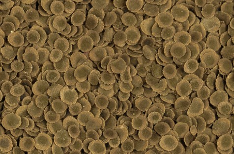 Корм для аквариумных рыб Tetra PRO Algae Multi-Crisps