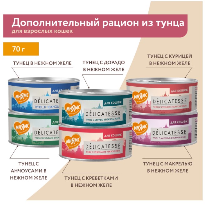 Влажный дополнительный корм Мнямс для кошек Курица с говядиной в нежном желе