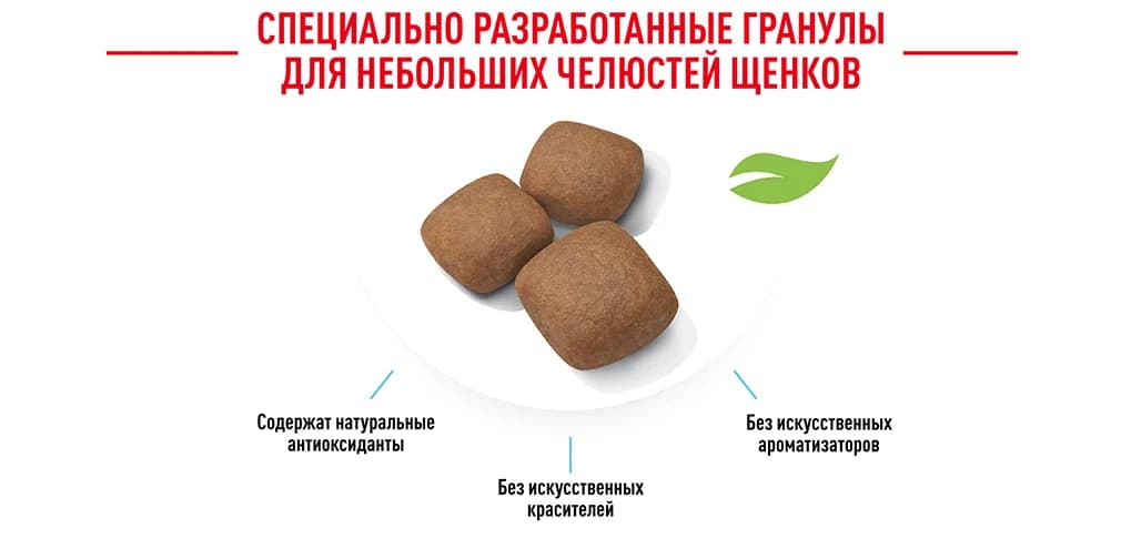 Еда для собак Сухой корм для собак Royal Canin X-Small Sterilised