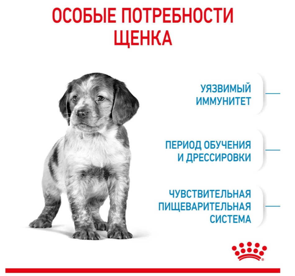 Каталог Сухой корм для щенков Royal Canin Medium Puppy для собак