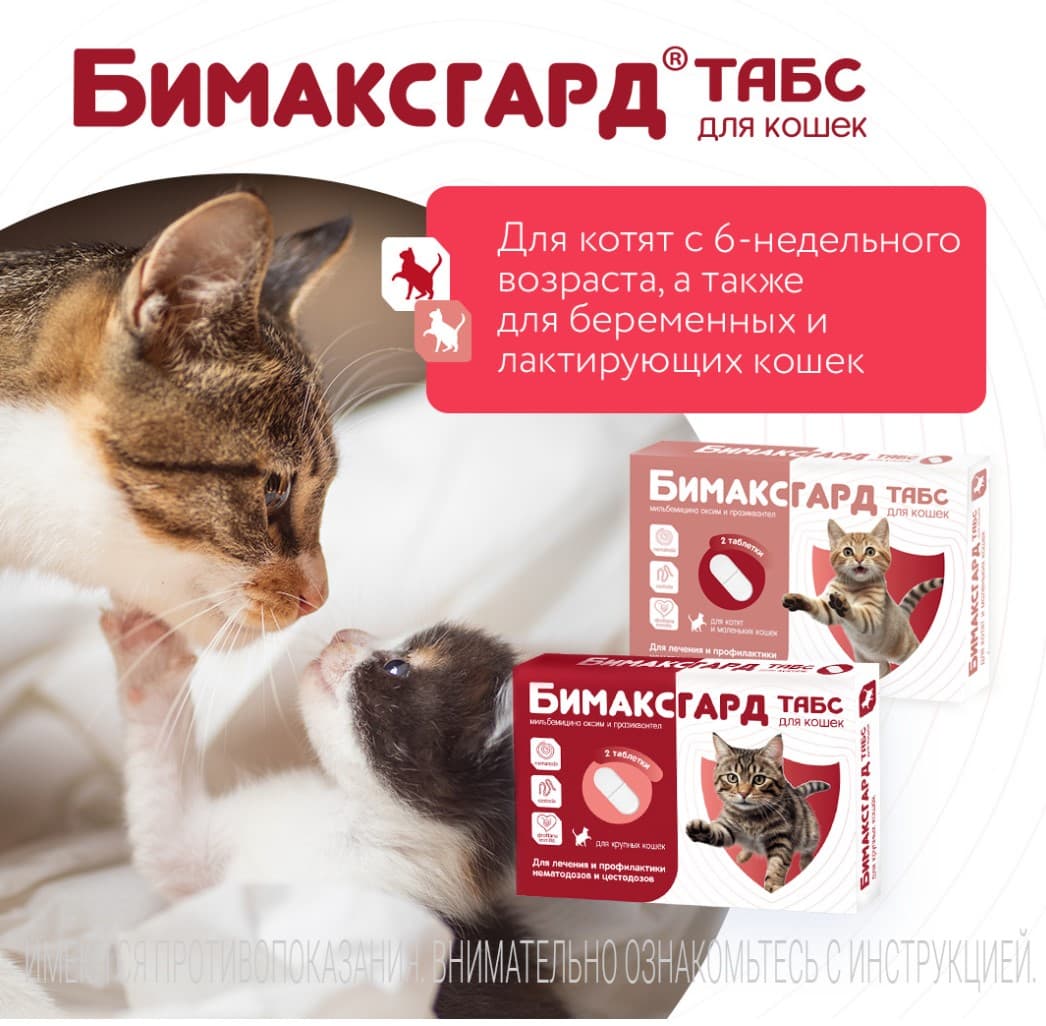 Антигельминтный препарат Бимаксгард ТАБС для котят и кошек мелких пород