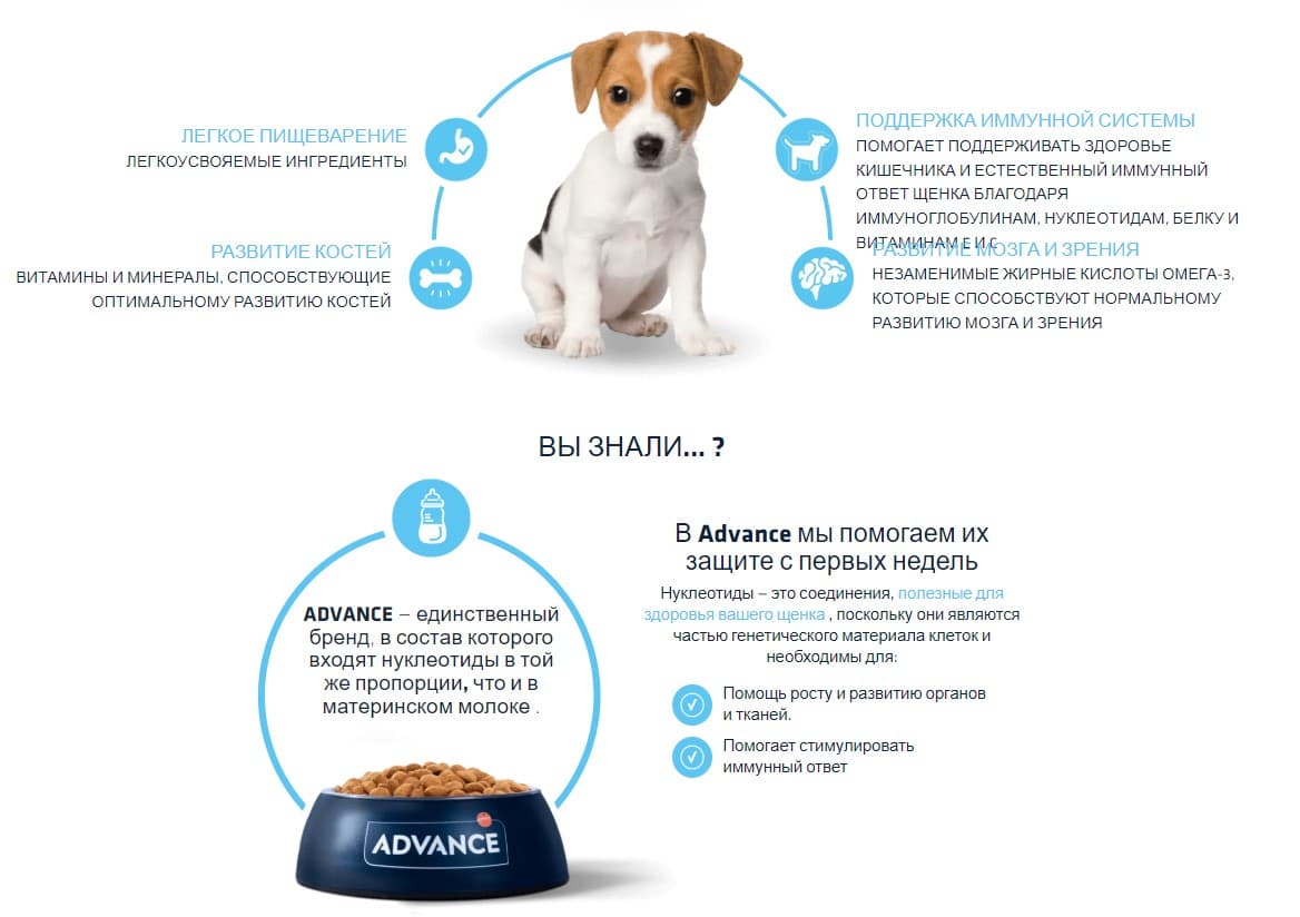 Еда для мелких щенков Сухой корм для щенков мини пород Advance Dog Mini Puppy Protect (курица)