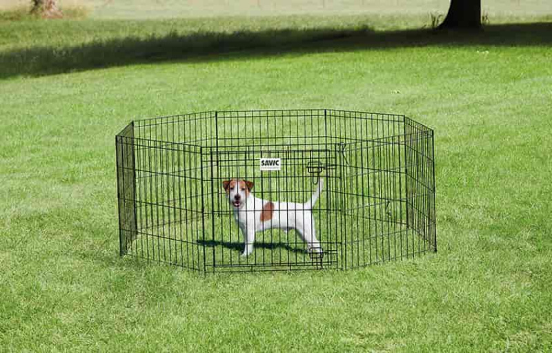 Манеж SAVIC "Dog park 1" 61х61 см