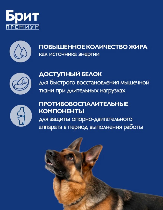 Каталог Сухой корм для собак всех пород Брит Премиум Dog Adult Sport 5000 (курица) для собак