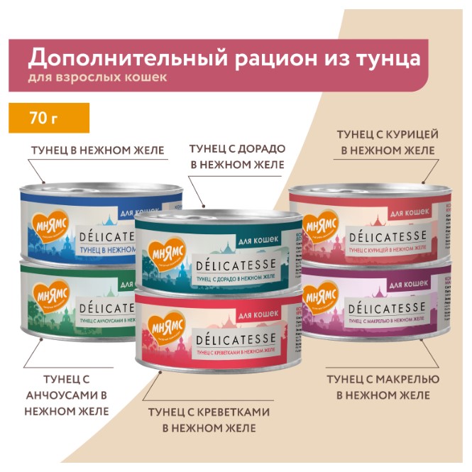Влажный дополнительный корм Мнямс для кошек Курица с лососем в нежном желе