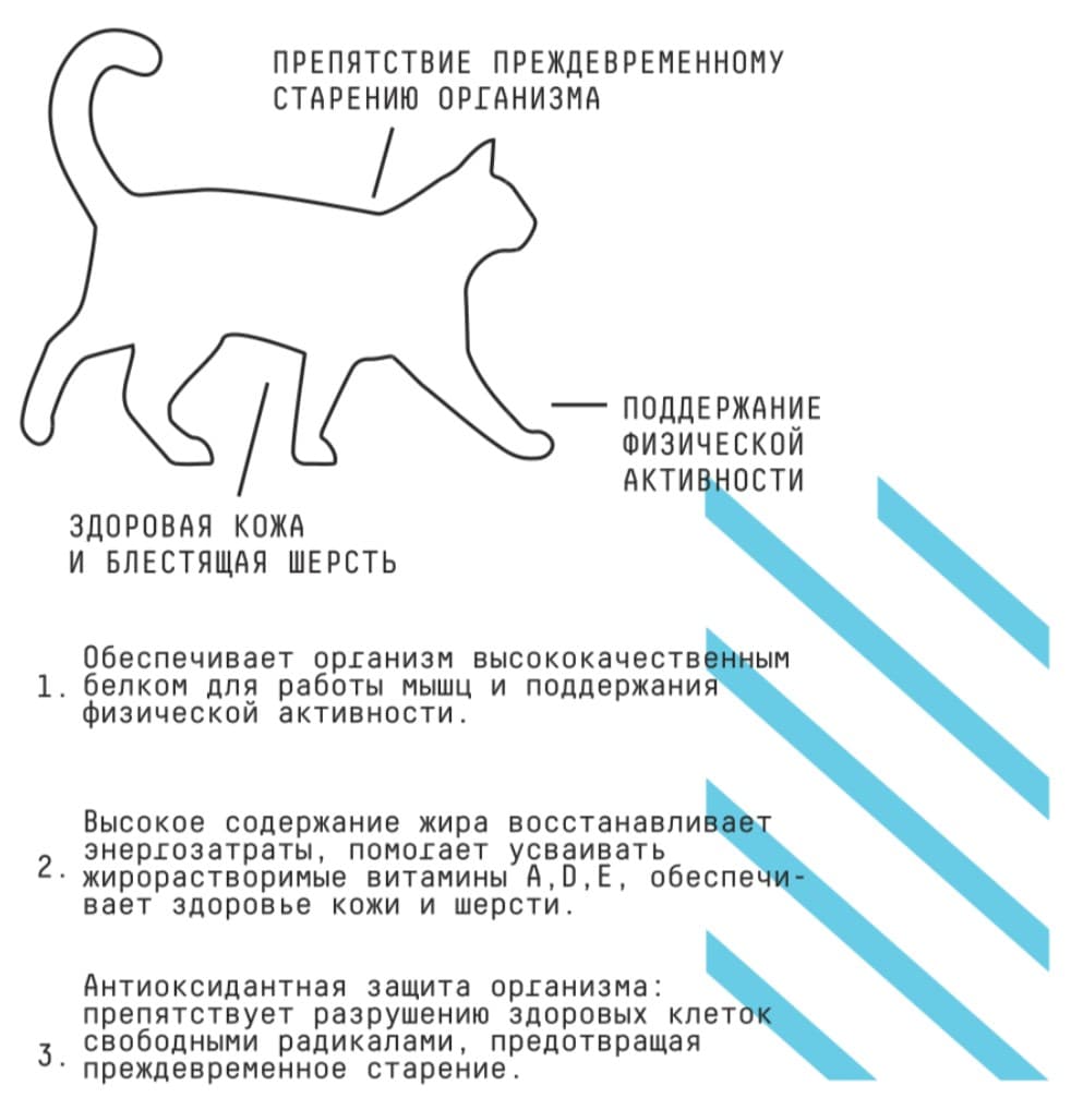 Сухой корм для кошек AJO Basic Line Аctive Adult Cat